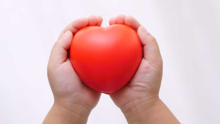 Congenital heart disease health care